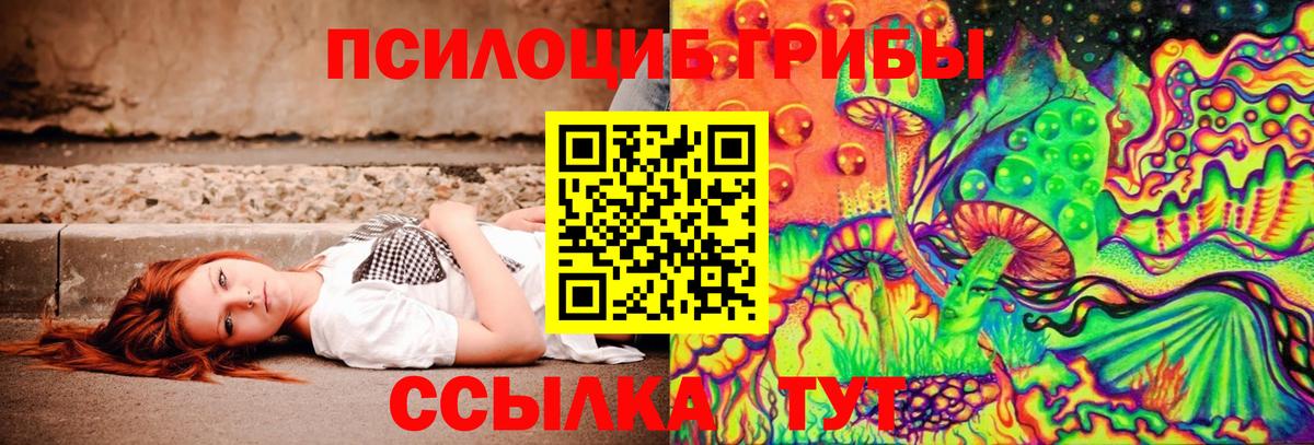 Миасс  Галлюциногенные грибы Psilocybe  Вход с VPN 